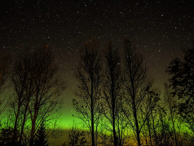 W najbliższy weekend nad Polską może pojawić się zorza polarna